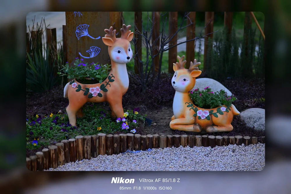 Image uploaded by 斌