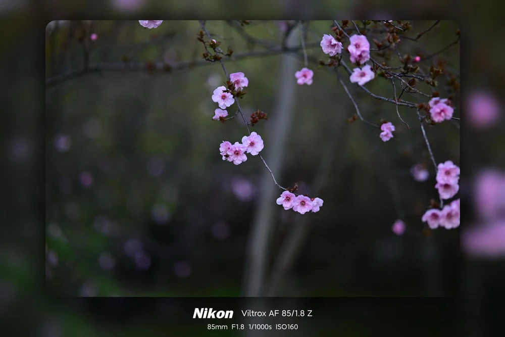 Image uploaded by 斌