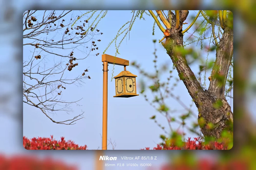 Image uploaded by 斌