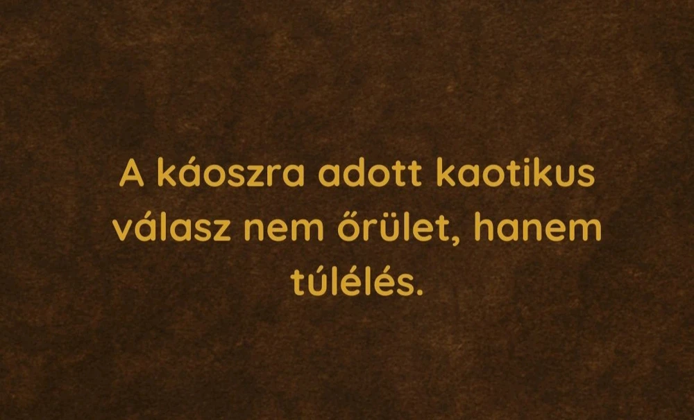 Timi által feltöltött GIF