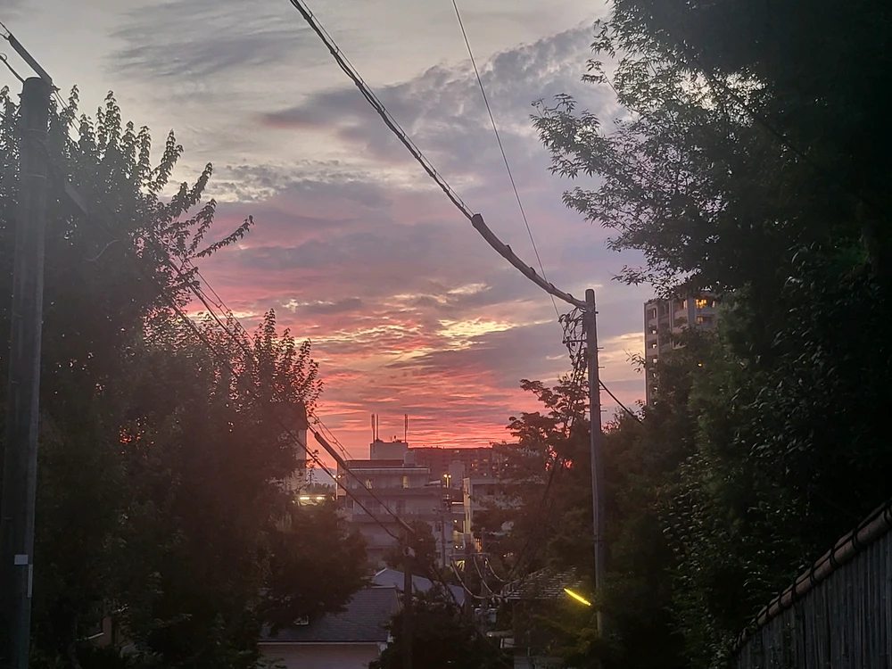 GIF uploaded by Joo Hyun