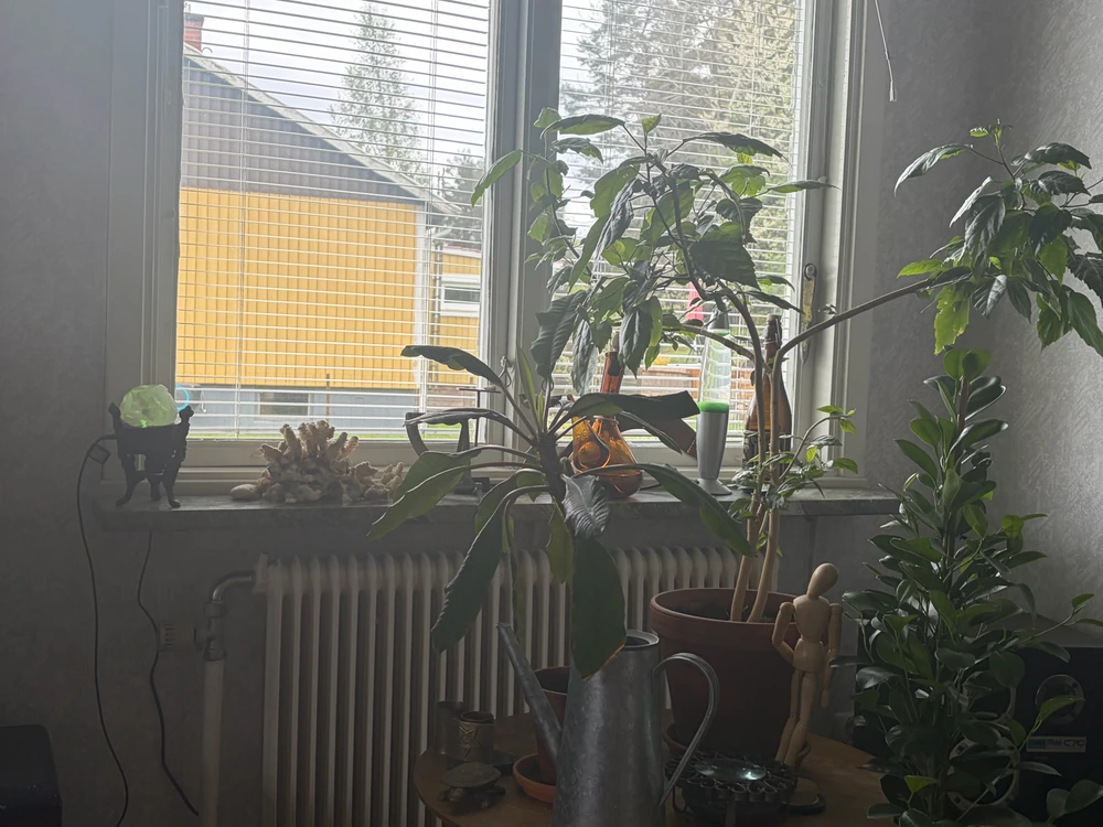 Image uploaded by Max