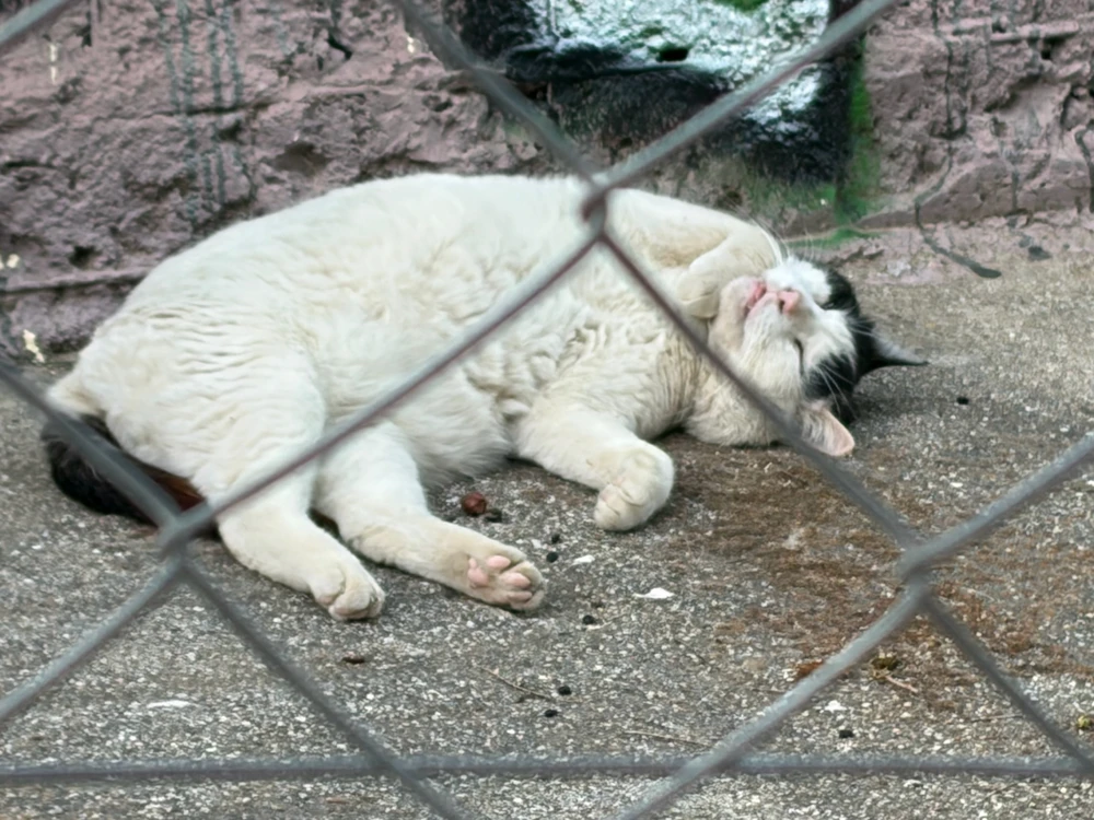 Image uploaded by Fumi