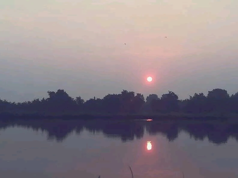 GIF uploaded by ANNA