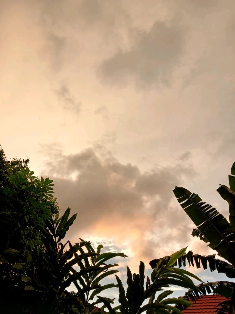Image uploaded by Nike