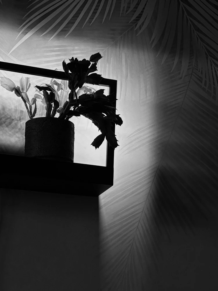 Image uploaded by 𝑉𝑎𝑙𝑒𝑟𝑖𝑎