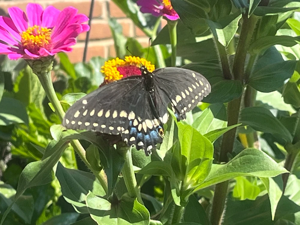 GIF uploaded by Morgan