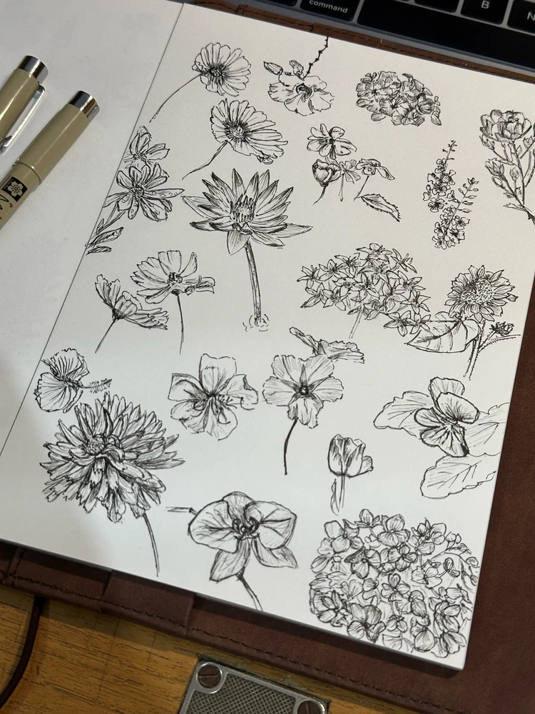 Image uploaded by Ine