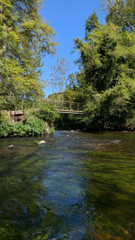 Image uploaded by Dylan