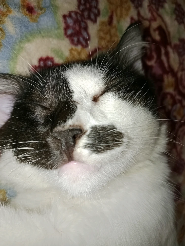 GIF uploaded by Nana