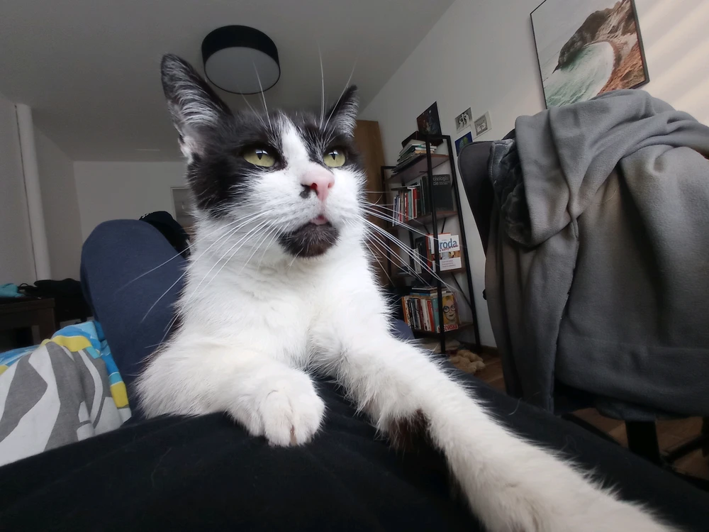 GIF dodany przez Noanme94