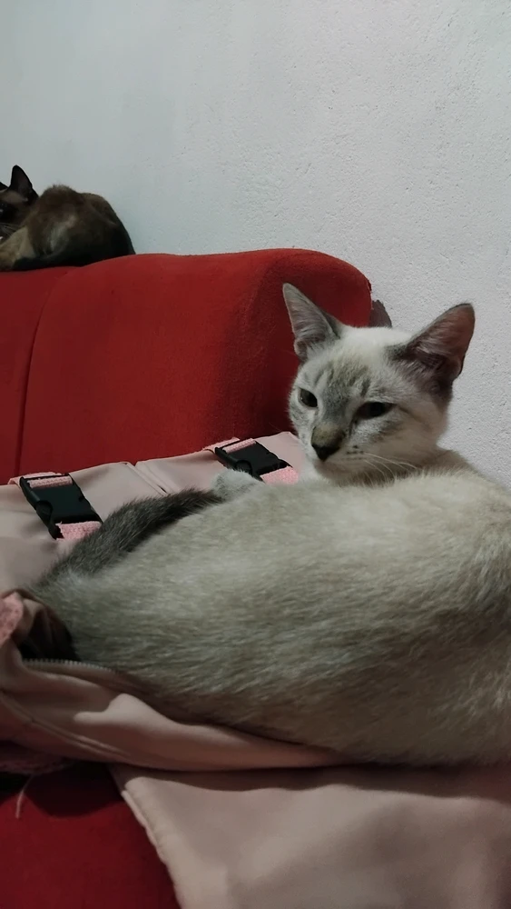 GIF enviado por Raquel
