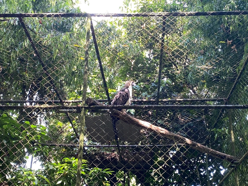 Image uploaded by Lovely