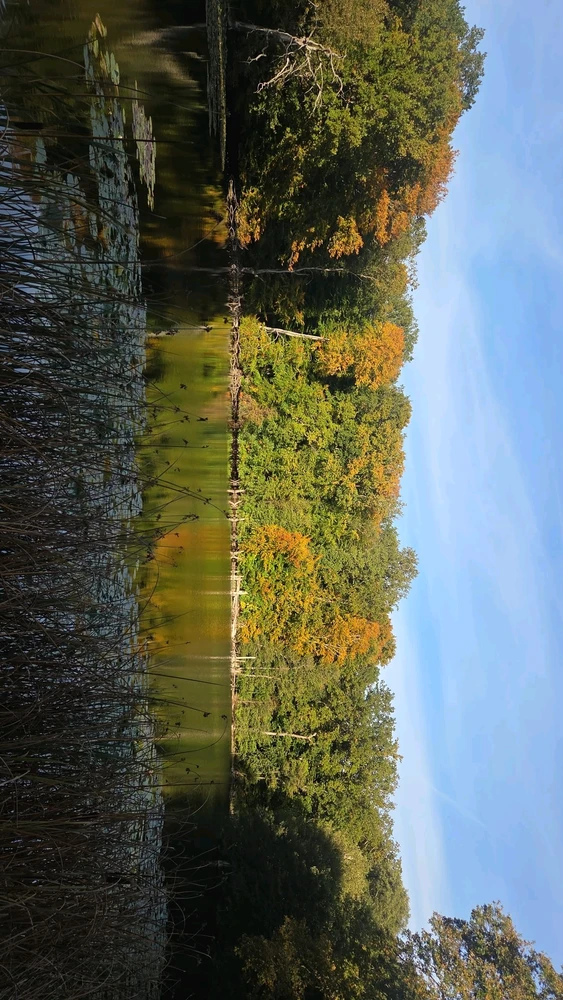 GIF uploaded by Julie