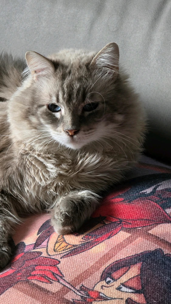 GIF uploaded by Bibi