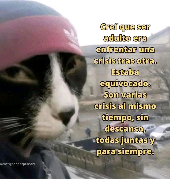 GIF subido por Venus7