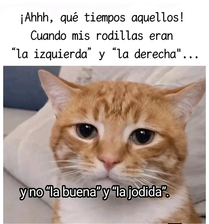 GIF subido por Venus7