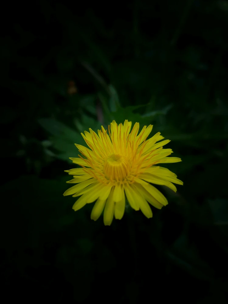 GIF uploaded by Thadeus