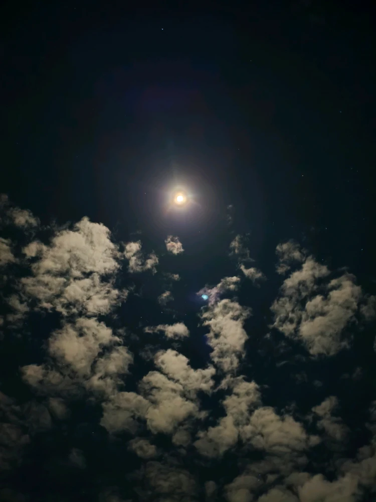 GIF enviado por Joaquim