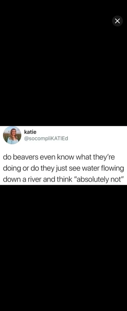 GIF uploaded by *JB* 🇬🇧🇬🇷
