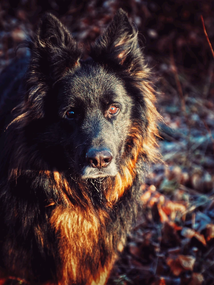 GIF uploaded by Wojtek