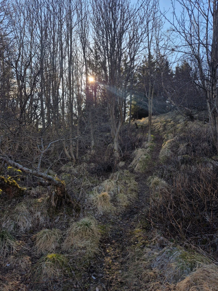Image uploaded by frikkZlinger
