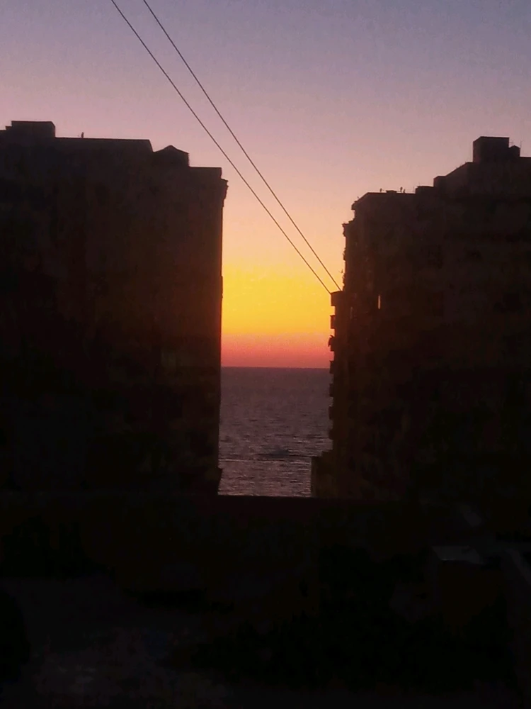 GIF رفعها elbanna