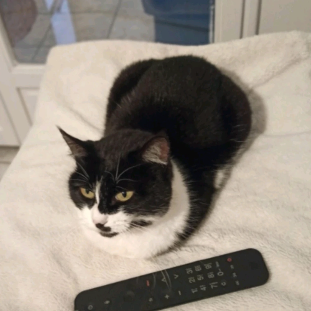 Image uploaded by Thibaud