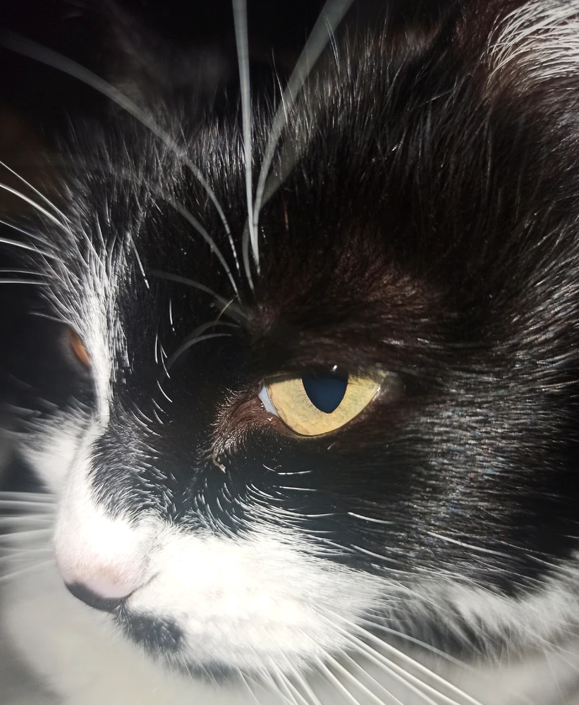 Image uploaded by Thibaud