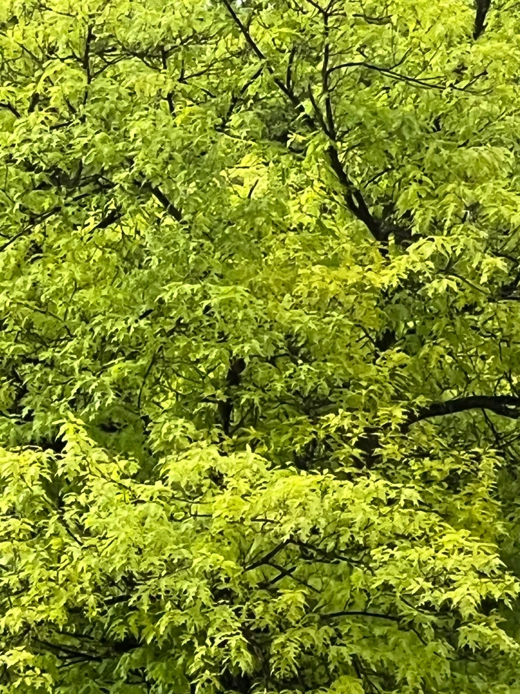 GIF uploaded by Jitka