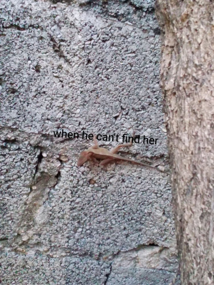 Image uploaded by Exi