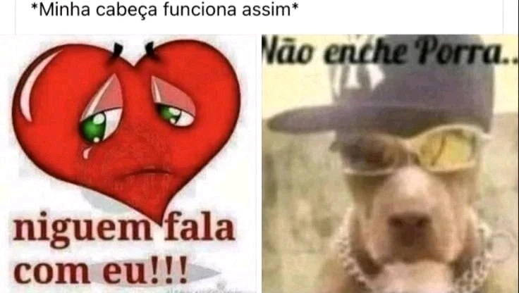 GIF uploaded by Bruno