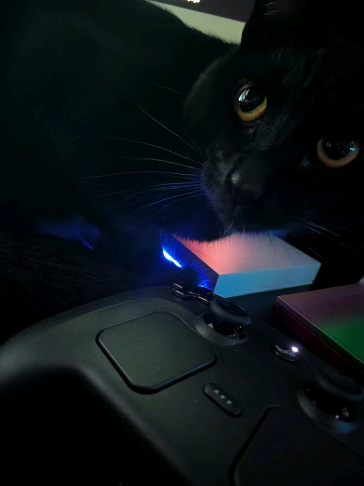 GIF uploaded by Eliemil
