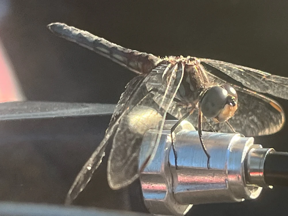 GIF uploaded by Morgan