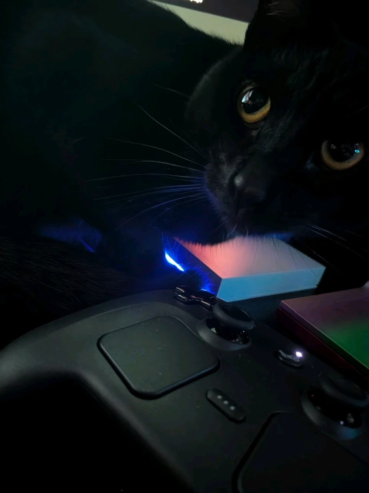 GIF uploaded by Eliemil