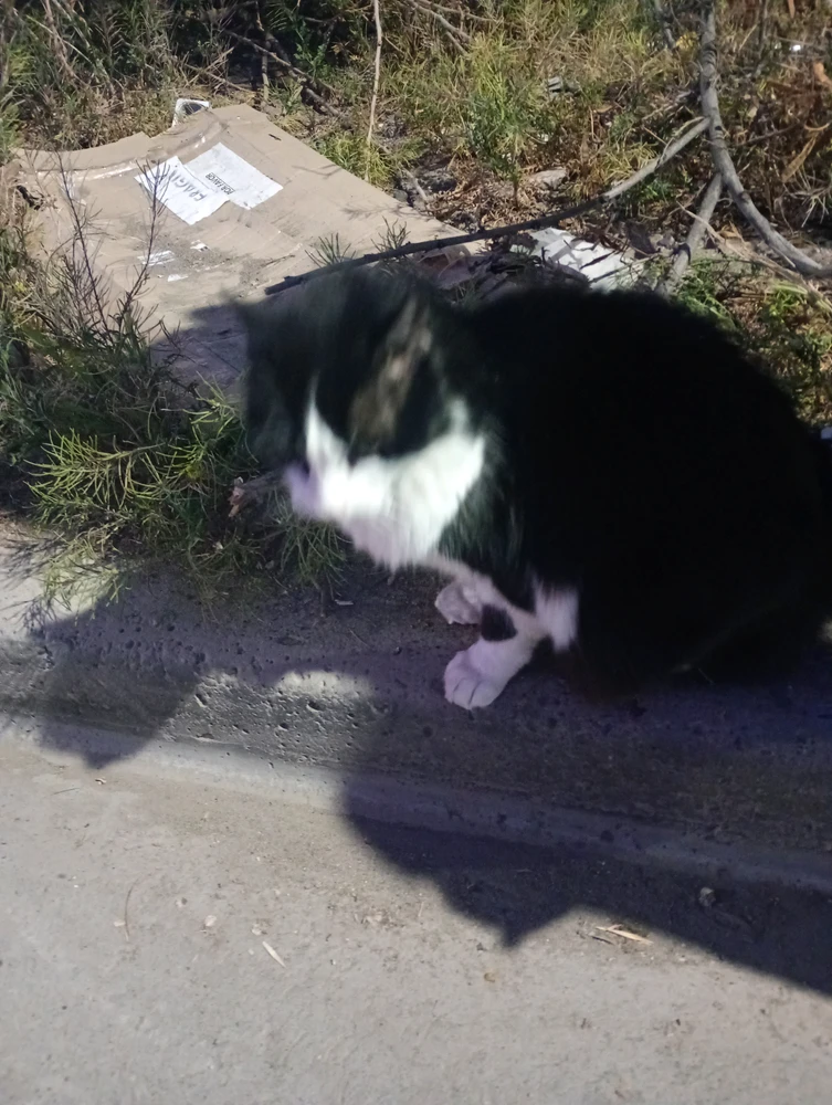 GIF subido por Ezequiel
