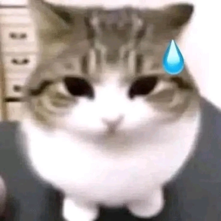 GIF uploaded by Pato