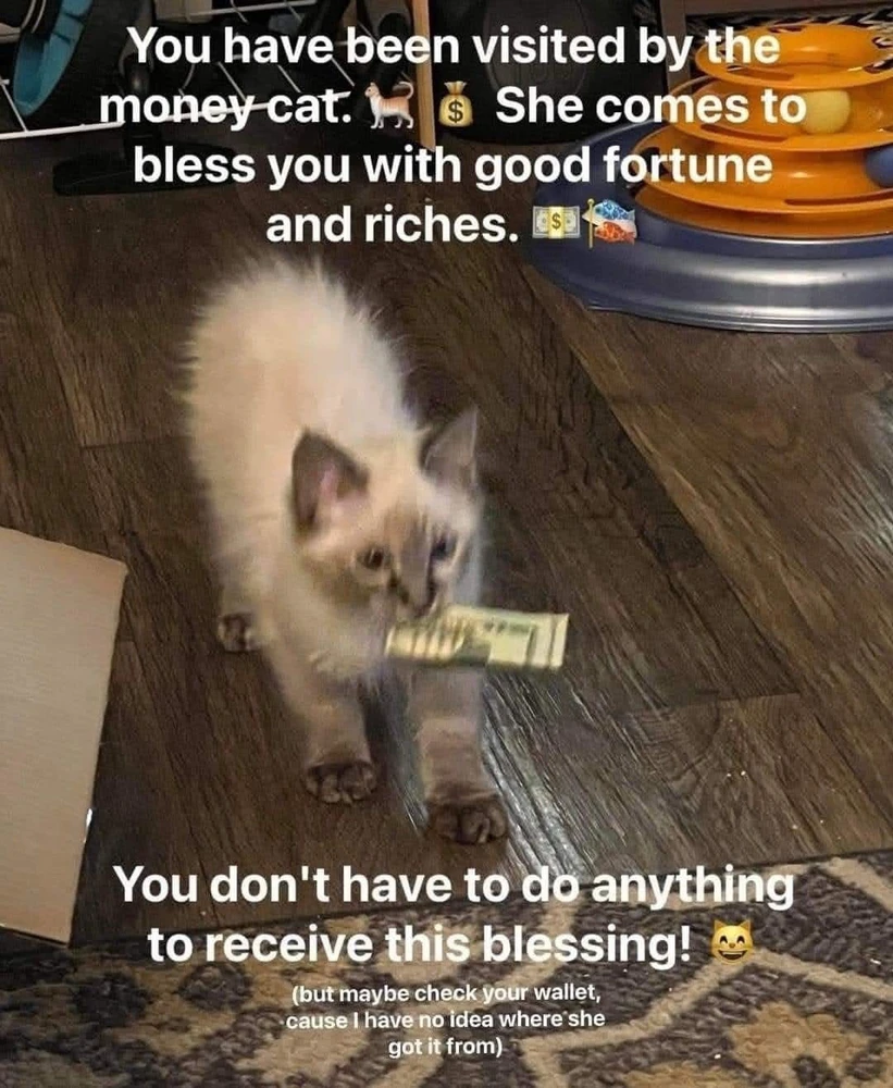 GIF uploaded by ℳ𝒾𝒹𝓃𝒾𝑔𝒽𝓉