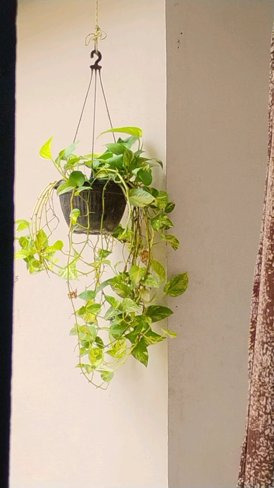 GIF uploaded by Raj