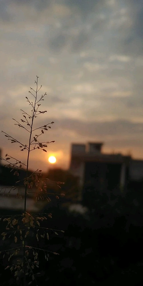 GIF uploaded by Fares