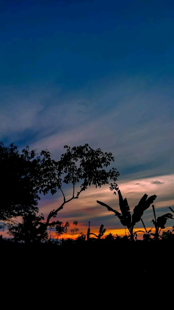 GIF uploaded by Fares