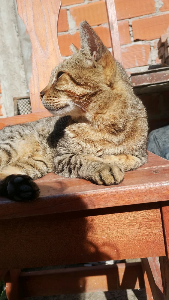 GIF uploaded by Lux
