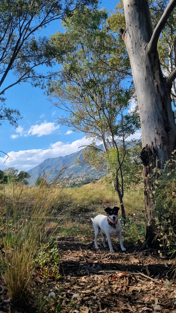 GIF uploaded by Roproud