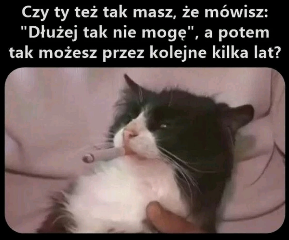 GIF uploaded by Rafał