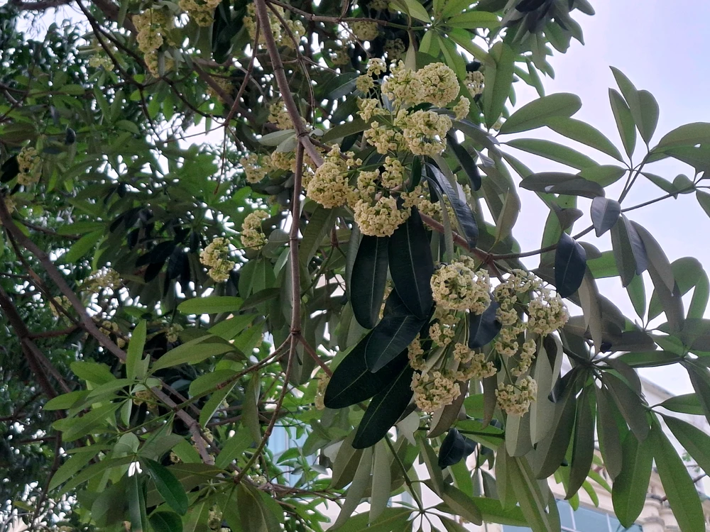 GIF uploaded by Edo