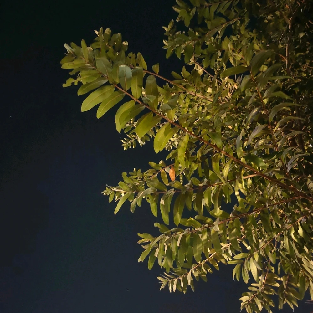 GIF uploaded by Sahil