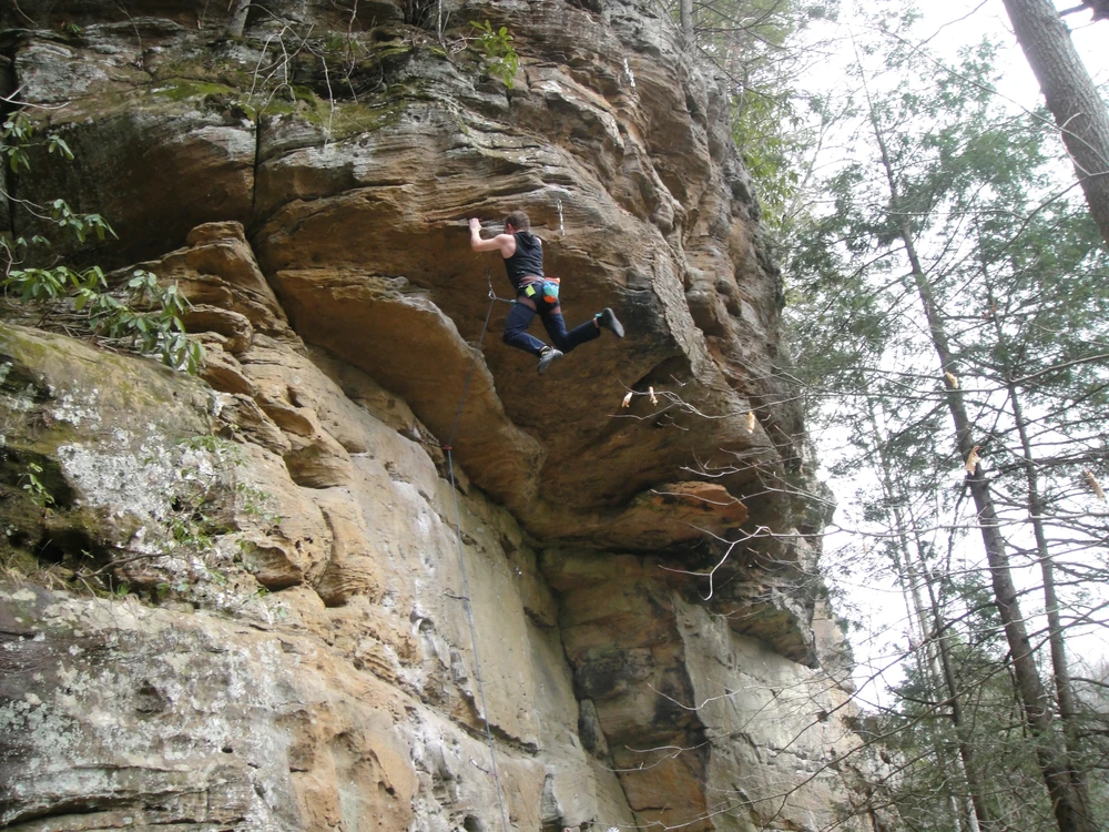 GIF uploaded by Grayer