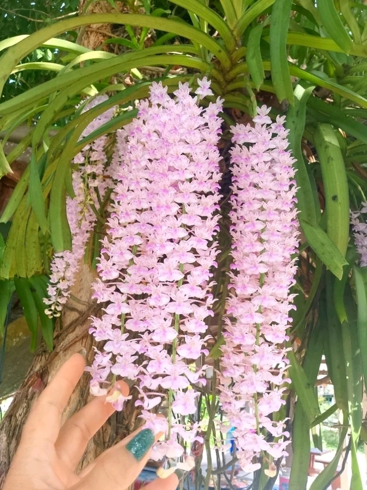Image uploaded by Love