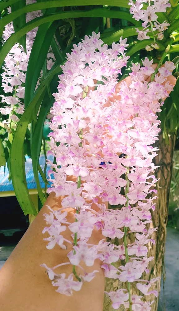 Image uploaded by Love