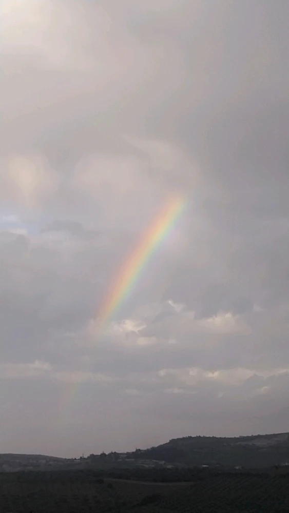 GIF uploaded by Burak